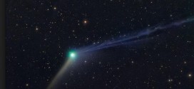 Comet Catalina In Night Sky