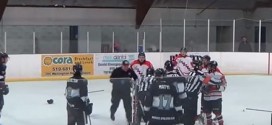 Linesman punches player, gets tackled by trainer (Video)