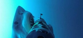 Underwater Robots Help Researchers Understand Great White Sharks