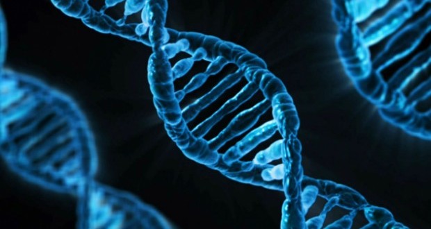 British Scientists get 'gene editing' go-ahead