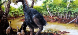 Gastornis: Giant, flightless bird wandered the Arctic 50 mn years ago