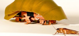 Researchers came up with some wild experiments to build a robotic cockroach