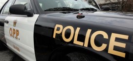 27 Charged In Perth County For Distracted Driving, Report