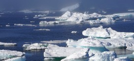 Arctic Sea Ice Hits Record Low, Report