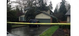 Jill Calder: Woman dies in Port Moody after tree falls on her home