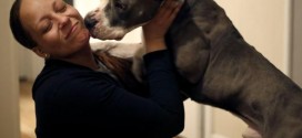 Miraculous reunion: Dog missing Three Years Ago Was Reunited With His Family