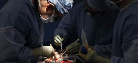 New Method Allows Kidney Transplants From Any Donor