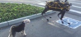 Real dog flips out when it first meets robot canine (Video)