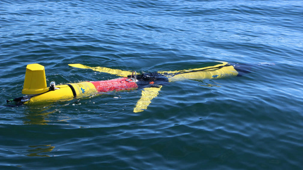 sharkpedo underwater glider