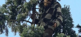 Seattle Man in tree shuts down streets in downtown (Video)