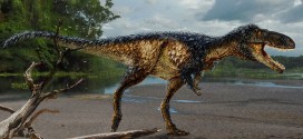 Timurlengia euotica: New dinosaur species in tyrannosaur family discovered