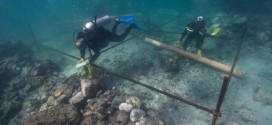 Vasco da Gama shipwreck discovered off Oman coast (Photo)