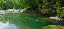 Young teen dead after falling into waters of Lynn Canyon