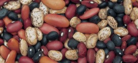 Eat More Beans If You Want To Lose Weight, Says New Research