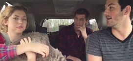 Wisdom Teeth Zombie Viral Video: Brothers Convince Dazed Sister of Zombie Apocalypse