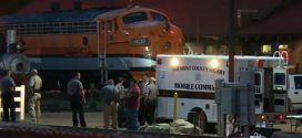 Conductor Dies After Fall From Royal Gorge Train (Video)