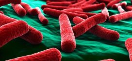 First case of bacteria in patient that's resistant to all known antibiotics reported in Pennsylvania