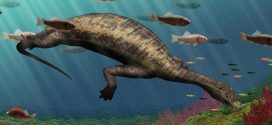 Hammerhead: This creature was ocean's first vegetarian reptile