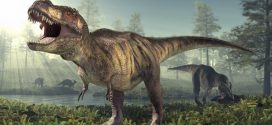 New Research Makes T. Rexes A Bit Less Terrifying