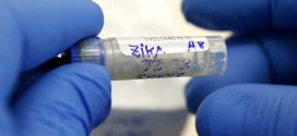 Urine More Accurate Than Blood for Zika Testing, CDC Says