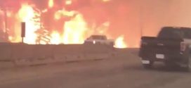 Wildfire destroys homes in Fort McMurray, Affects 80000 People