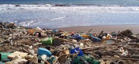 Plastic Dominates Hawaii Marine Debris, Survey finds