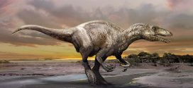 Meet Murusraptor: New 'Giant Thief' dinosaur discovered