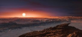 Researchers find Earth-like planet circling sun's nearest neighbour