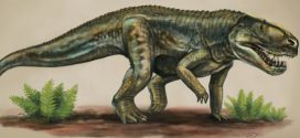 New reptile species from 212 million years ago (research)