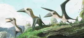 Researchers Find a Rare Type of Pterosaur Near Vancouver Island