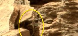 Snake spotted in NASA Mars photo feeds growing conspiracy theory (Picture)