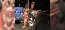 A 14-Pound Lobster? Bermuda Boat Reels In Impressive Catch (Photo)