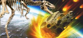 Dinosaur-killing asteroid's crater yields new clues, finds new research