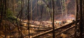 Incredible photos emerge of uncontacted tribe in the Amazon