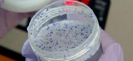 What are microbeads and why should we ban them?