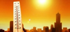 Year 2016 on track to be hottest on record, Meteorologists say