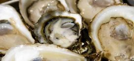 BC Centre for Disease Control: Warning issued after spike in oyster-related illness