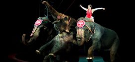 Ringling Bros. circus to close after more than 100 years