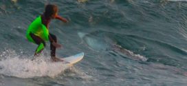 Young Australian surfer rides over great white. Dad captures the photo!