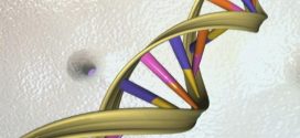 DNA 'mistakes' cause most cancers, New Study Shows