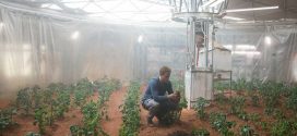 Life On Mars: Astronauts Can Grow Potatoes in Martian Soil