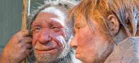 Neanderthal DNA reveals real paleo diet (Research)