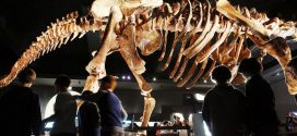 Researchers has re-written 130 years of dinosaur history