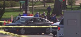 US Woman crashes into police cruiser outside the US Capitol