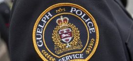 Police: Resident of Guelph apartment building facing animal cruelty charge