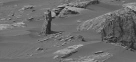 Possible Tree Stump Found On Mars? (Video)