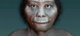 Researchers debunk theory that hobbits were man's cousin