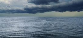 Alarming decrease in oceans' dissolved oxygen level, Researchers Say