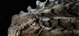 Archeologists found a dinosaur that still has its skin and guts