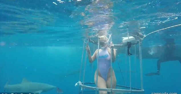 634px x 330px - Porn Star attacked by shark during Florida film shoot (Video ...